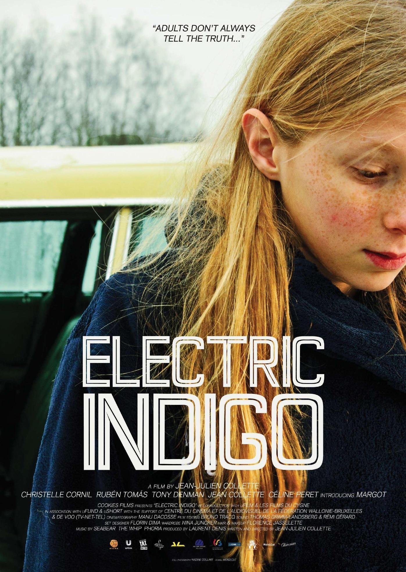 постер Electric Indigo